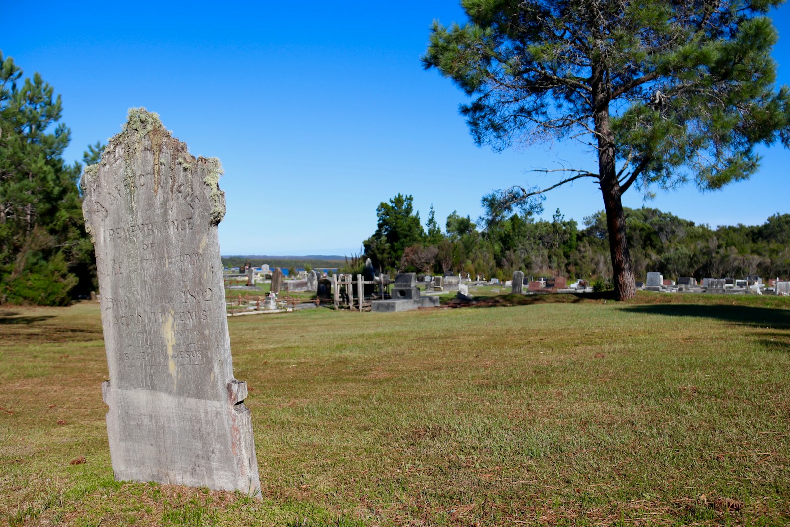 a large stone in a grassy area with trees in the background